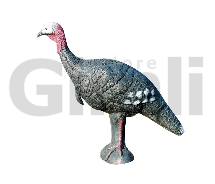 Eleven 3D Target Turkey